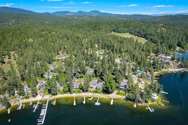 12916 N Newman St, Newman Lake, WA 99025 - view of property location with a heavily wooded area and a water and mountain view