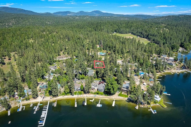 12916 N Newman St, Newman Lake, WA 99025 - aerial view of property and surrounding area with a forest and a water and mountain view