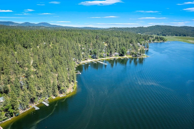 12916 N Newman St, Newman Lake, WA 99025 - aerial view of a forest and a water and mountain view