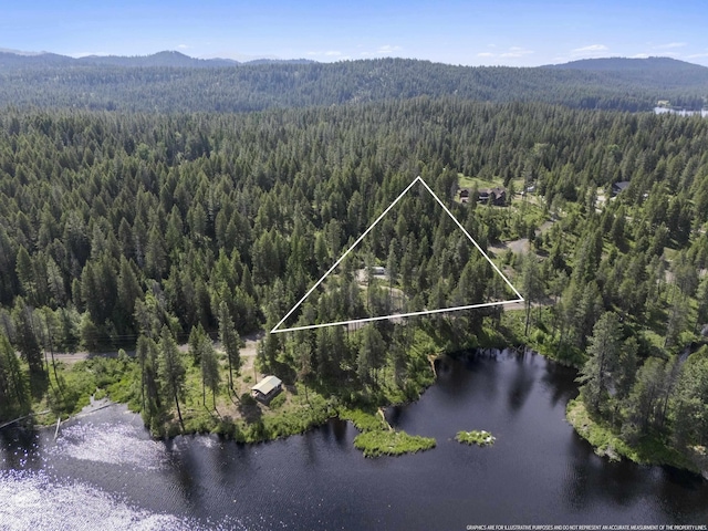 131 Granite Loop, Newport, WA 99156