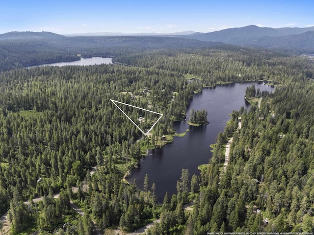 131 Granite Loop, Newport, WA 99156