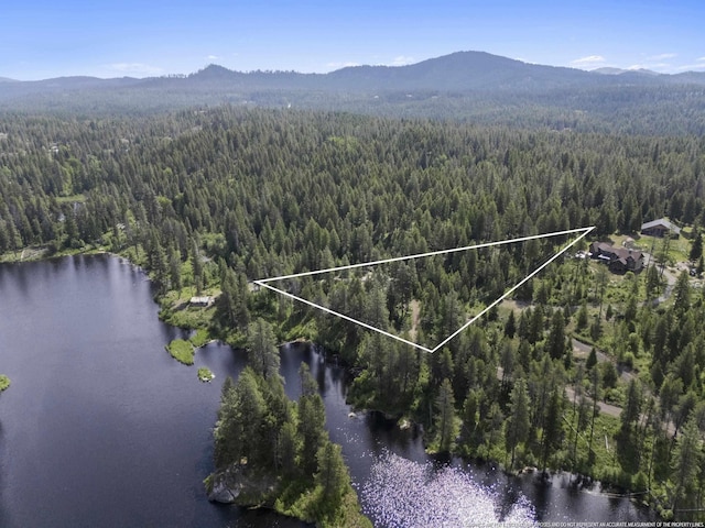 131 Granite Loop, Newport, WA 99156
