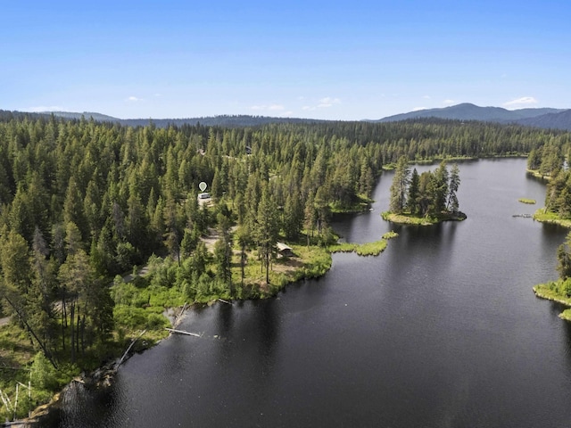 131 Granite Loop, Newport, WA 99156