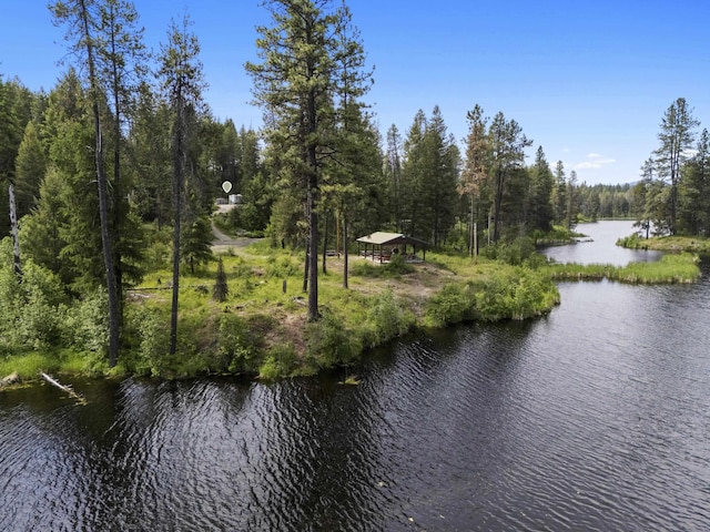 131 Granite Loop, Newport, WA 99156