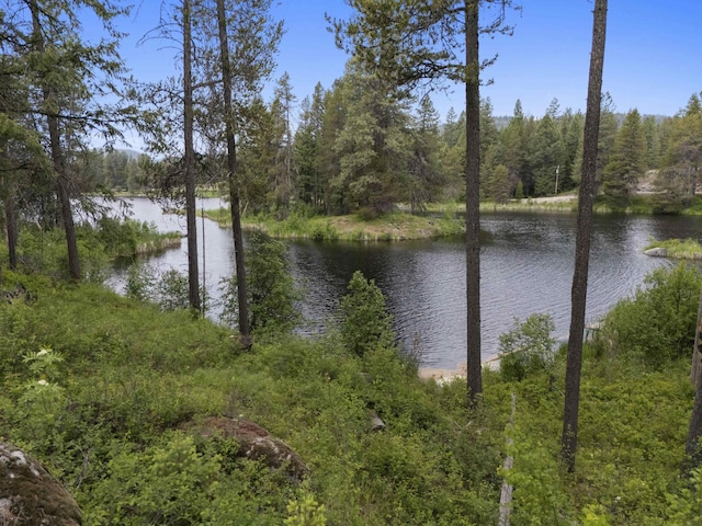 131 Granite Loop, Newport, WA 99156