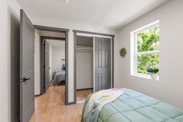 1509 N Lee St, Spokane, WA 99207 - bedroom featuring light wood-type flooring and a closet