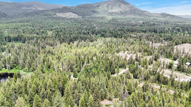 761 Granite Rd, Newport, WA 99156 - photo 19
