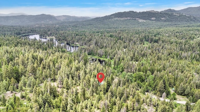761 Granite Rd, Newport, WA 99156 - photo 20