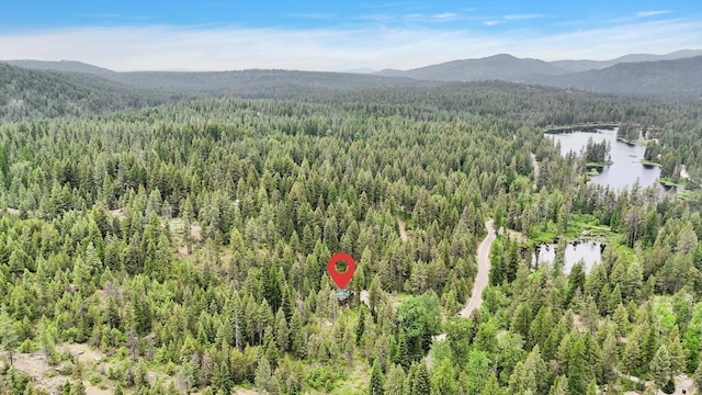 761 Granite Rd, Newport, WA 99156 - photo 22