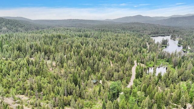 761 Granite Rd, Newport, WA 99156 - photo 24