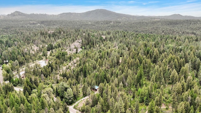 761 Granite Rd, Newport, WA 99156 - photo 26