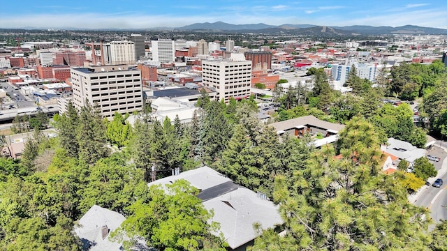 1002 W 7th Ave Unit 301, Spokane, WA 99204 - view of urban area with a mountain backdrop