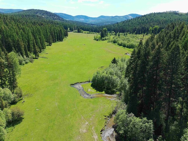 22XX Hawks Road 21Xx Clugston Onion Creek Road, Colville, WA 99114 - photo 1