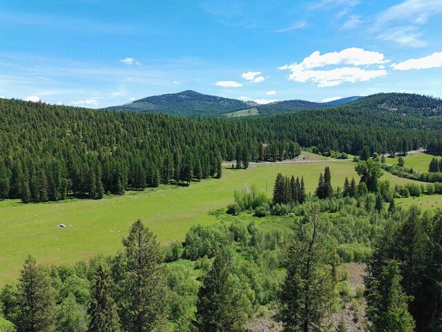 22XX Hawks Road 21Xx Clugston Onion Creek Road, Colville, WA 99114 - photo 13