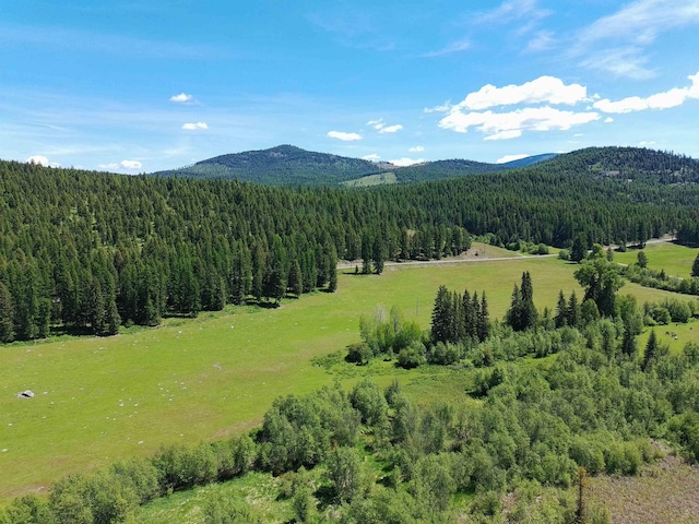 22XX Hawks Road 21Xx Clugston Onion Creek Road, Colville, WA 99114 - photo 18