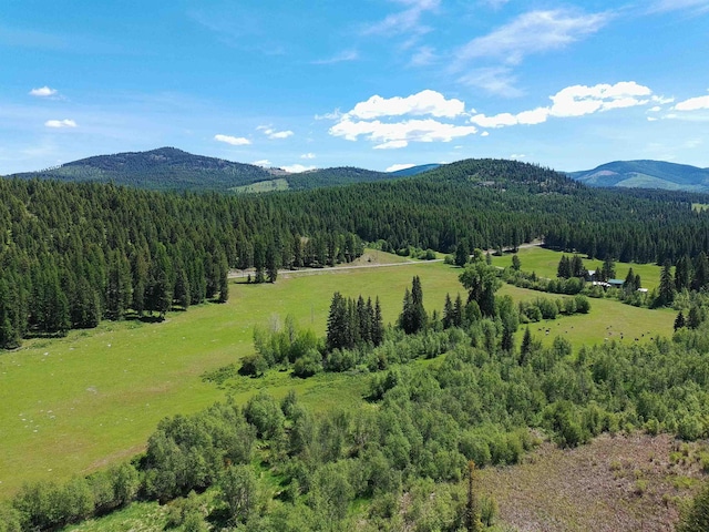 22XX Hawks Road 21Xx Clugston Onion Creek Road, Colville, WA 99114 - photo 19