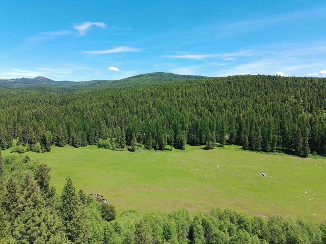 22XX Hawks Road 21Xx Clugston Onion Creek Road, Colville, WA 99114 - photo 20