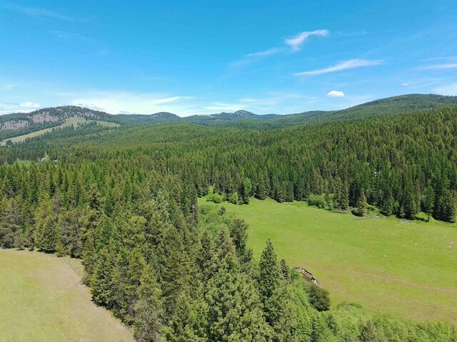 22XX Hawks Road 21Xx Clugston Onion Creek Road, Colville, WA 99114 - photo 21