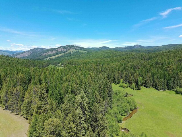 22XX Hawks Road 21Xx Clugston Onion Creek Road, Colville, WA 99114 - photo 23