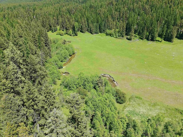 22XX Hawks Road 21Xx Clugston Onion Creek Road, Colville, WA 99114 - photo 24