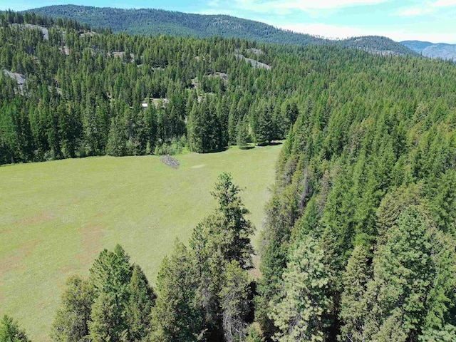 22XX Hawks Road 21Xx Clugston Onion Creek Road, Colville, WA 99114 - photo 30