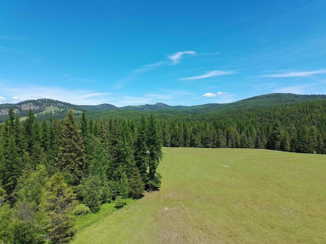 22XX Hawks Road 21Xx Clugston Onion Creek Road, Colville, WA 99114 - photo 4