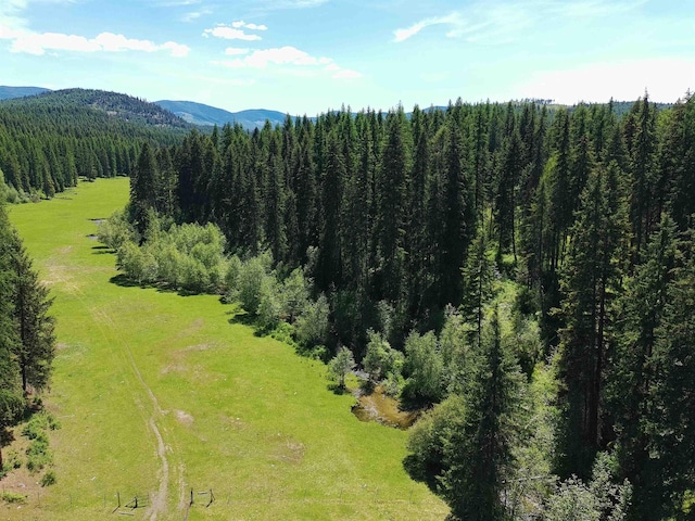 22XX Hawks Road 21Xx Clugston Onion Creek Road, Colville, WA 99114 - photo 33