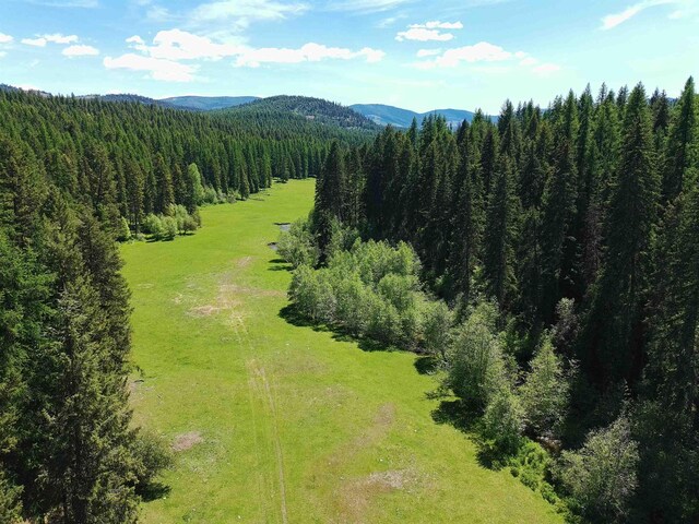 22XX Hawks Road 21Xx Clugston Onion Creek Road, Colville, WA 99114 - photo 34