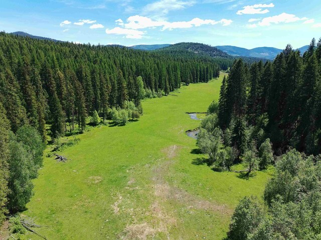 22XX Hawks Road 21Xx Clugston Onion Creek Road, Colville, WA 99114 - photo 35