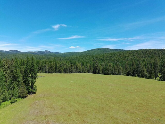 22XX Hawks Road 21Xx Clugston Onion Creek Road, Colville, WA 99114 - photo 6