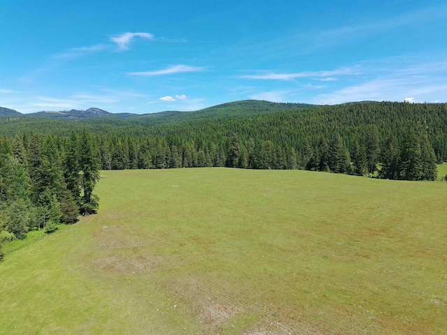 22XX Hawks Road 21Xx Clugston Onion Creek Road, Colville, WA 99114 - photo 7