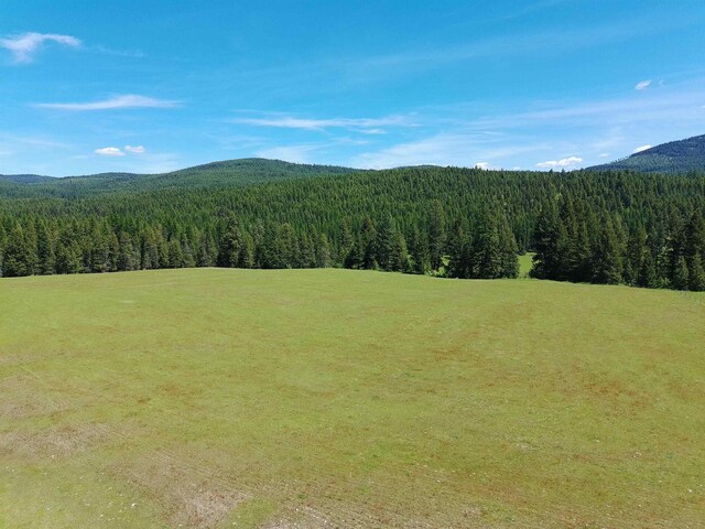 22XX Hawks Road 21Xx Clugston Onion Creek Road, Colville, WA 99114 - photo 8