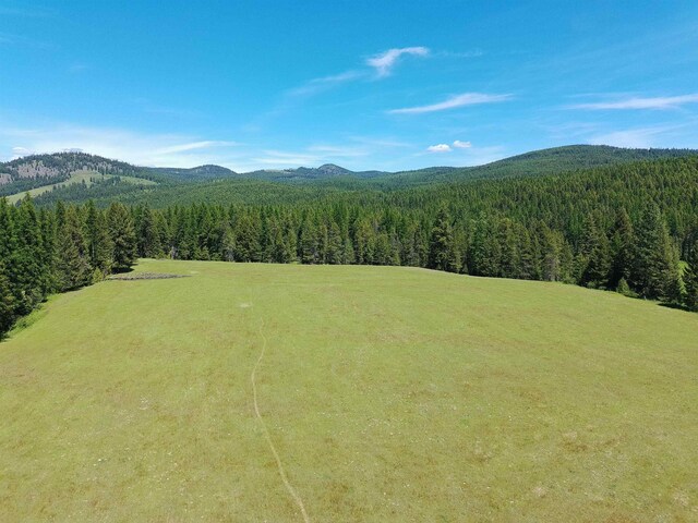 22XX Hawks Road 21Xx Clugston Onion Creek Road, Colville, WA 99114 - photo 9