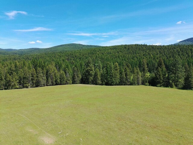 22XX Hawks Road 21Xx Clugston Onion Creek Road, Colville, WA 99114 - photo 10