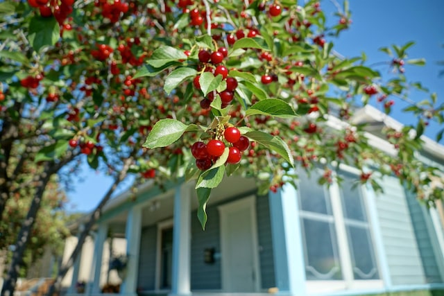 618 E Broad Ave, Spokane, WA 99207 - photo 2