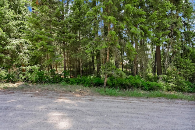 3264 Shady Ct, Valley, WA 99181