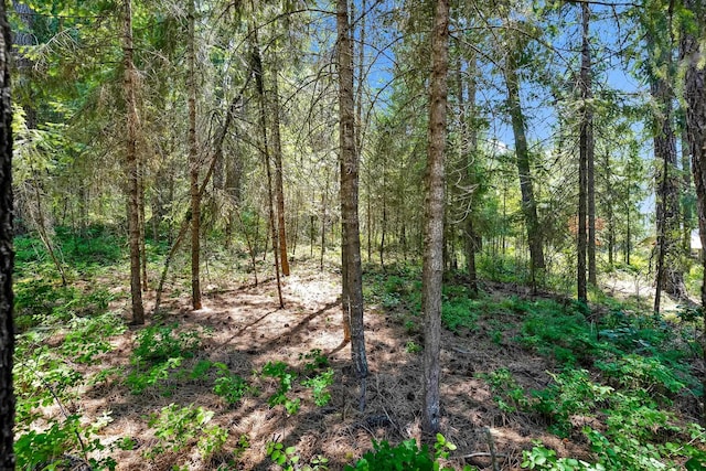 3264 Shady Ct, Valley, WA 99181