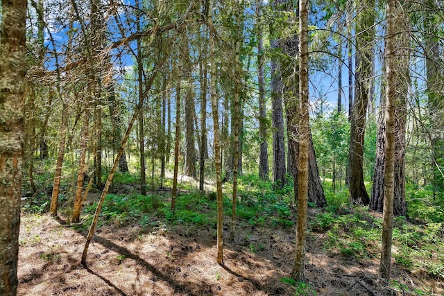 3264 Shady Ct, Valley, WA 99181