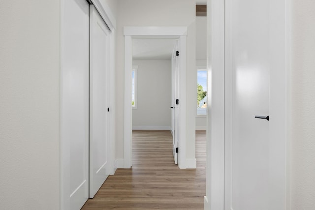 1817 N Arties Rd, Spokane Valley, WA 99016 - corridor with wood finished floors and baseboards