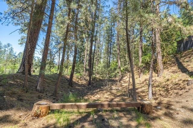 17910 N Redowa Dr, Colbert, WA 99005 - photo 38