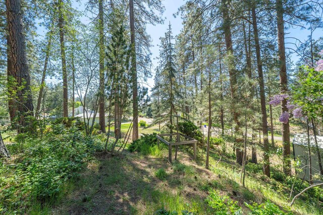 17910 N Redowa Dr, Colbert, WA 99005 - photo 40
