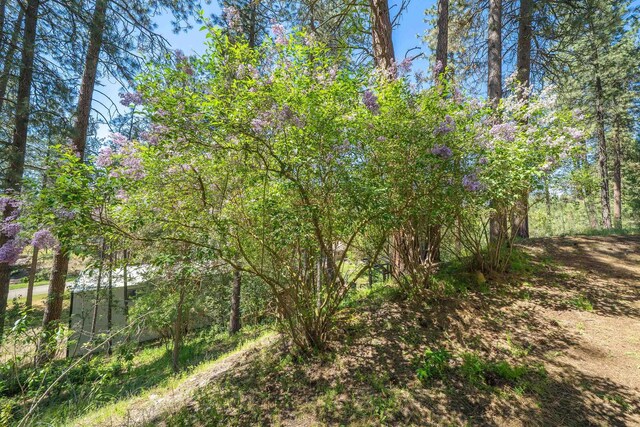 17910 N Redowa Dr, Colbert, WA 99005 - photo 46