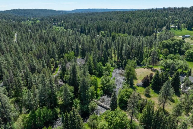 17910 N Redowa Dr, Colbert, WA 99005 - photo 48