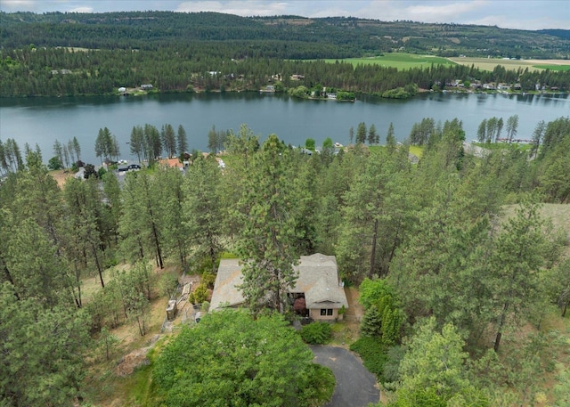 16905 N Mockingbird Ct, Nine Mile Falls, WA 99026 - aerial view of property's location featuring a forest and a nearby body of water