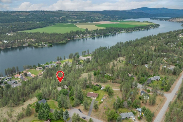 16905 N Mockingbird Ct, Nine Mile Falls, WA 99026 - aerial view of property's location with a water and mountain view