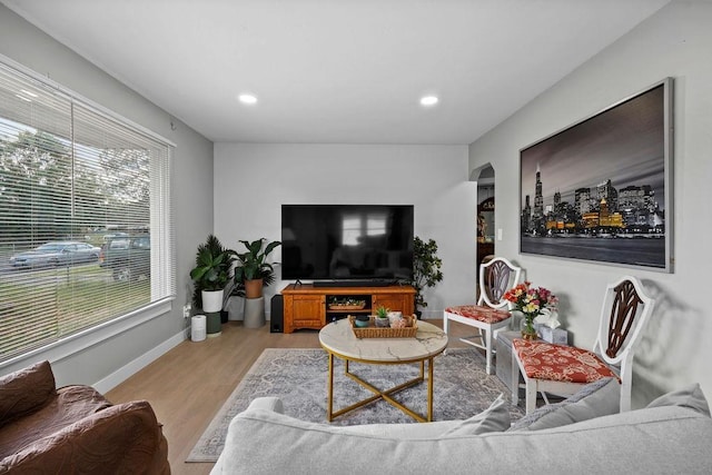 811 E Dalke Ave, Spokane, WA 99208 - living room with light wood-style floors, recessed lighting, and baseboards