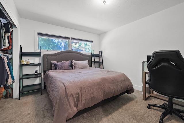 1919 E 59th Ave, Spokane, WA 99223 - bedroom with carpet floors and a closet