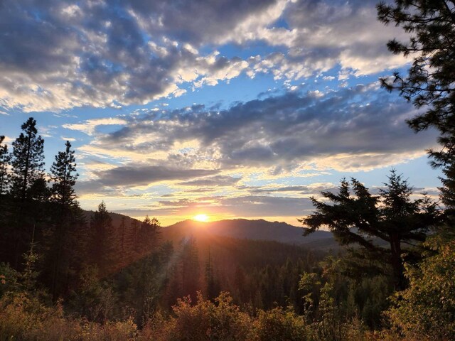 4450CC Buck Creek Rd, Loon Lake, WA 99148 - photo 42