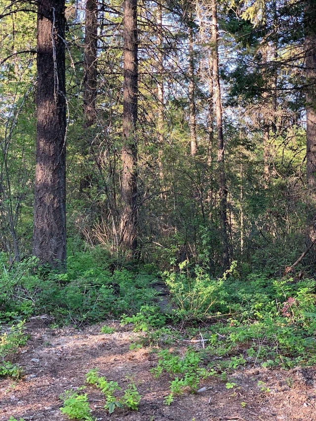 4450CC Buck Creek Rd, Loon Lake, WA 99148 - photo 44