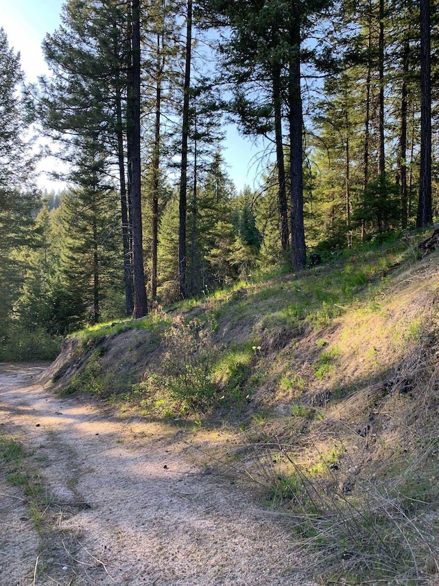 4450CC Buck Creek Rd, Loon Lake, WA 99148 - photo 46